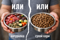 ����� �� �������� ����������� ������� � ����� ���� ��� �����: ������� ������ ��������