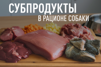 ����������� � ������� ������