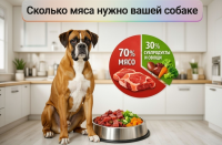 ������� ���� ����� ������